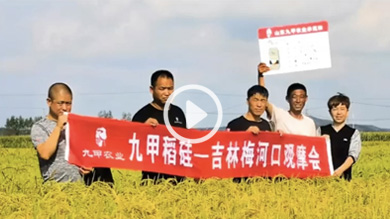 九甲稻硅-吉林省東豐縣三河鄉(xiāng)回訪及實打?qū)嵤? class=